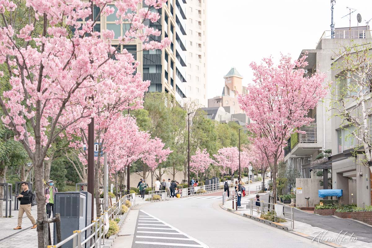 東京櫻花景點攻略》市區24個賞櫻名所+5個近郊櫻花景點推薦 @Alina 愛琳娜 東京櫻花景點攻略》市區24個賞櫻名所+5個近郊櫻花景點推薦 @Alina 愛琳娜
