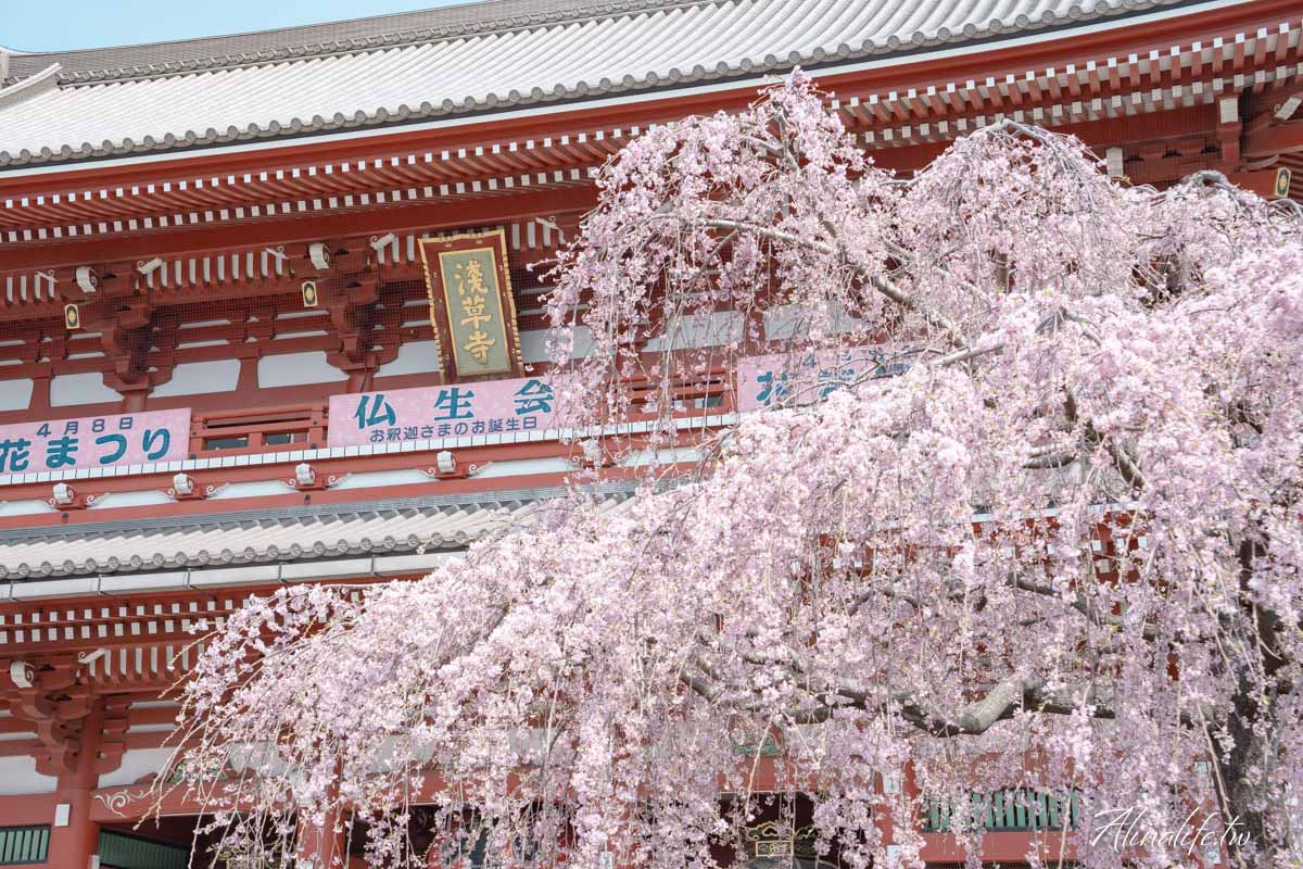 東京櫻花景點攻略》市區24個賞櫻名所+5個近郊櫻花景點推薦 @Alina 愛琳娜 東京櫻花景點攻略》市區24個賞櫻名所+5個近郊櫻花景點推薦 @Alina 愛琳娜