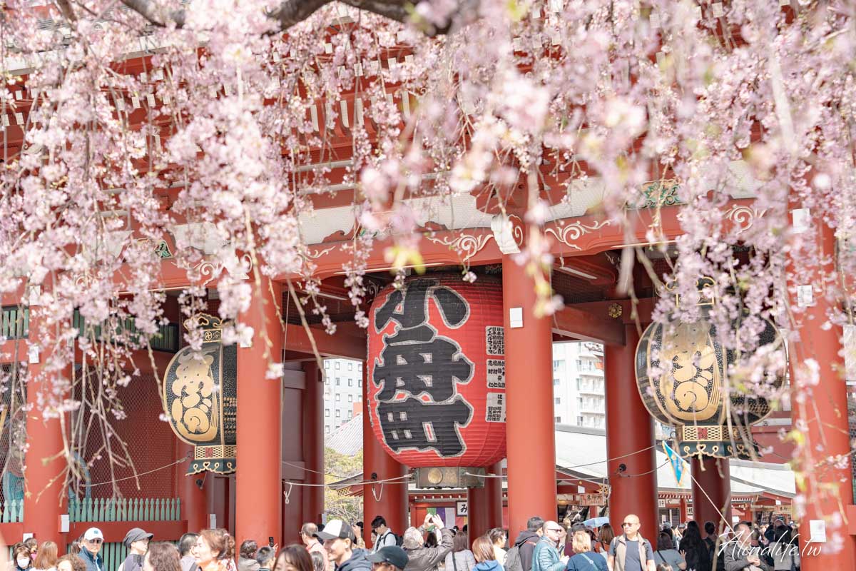 東京櫻花景點攻略》市區24個賞櫻名所+5個近郊櫻花景點推薦 @Alina 愛琳娜 東京櫻花景點攻略》市區24個賞櫻名所+5個近郊櫻花景點推薦 @Alina 愛琳娜