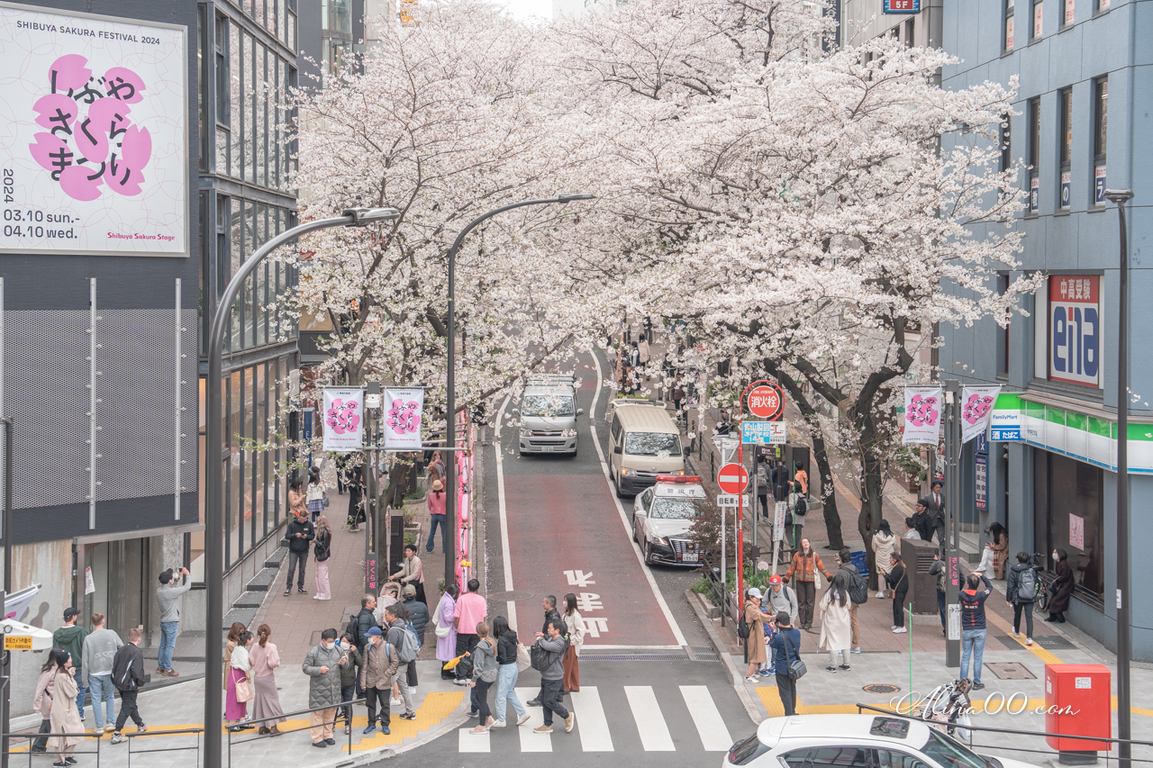 東京櫻花景點攻略》市區24個賞櫻名所+5個近郊櫻花景點推薦 @Alina 愛琳娜 東京櫻花景點攻略》市區24個賞櫻名所+5個近郊櫻花景點推薦 @Alina 愛琳娜