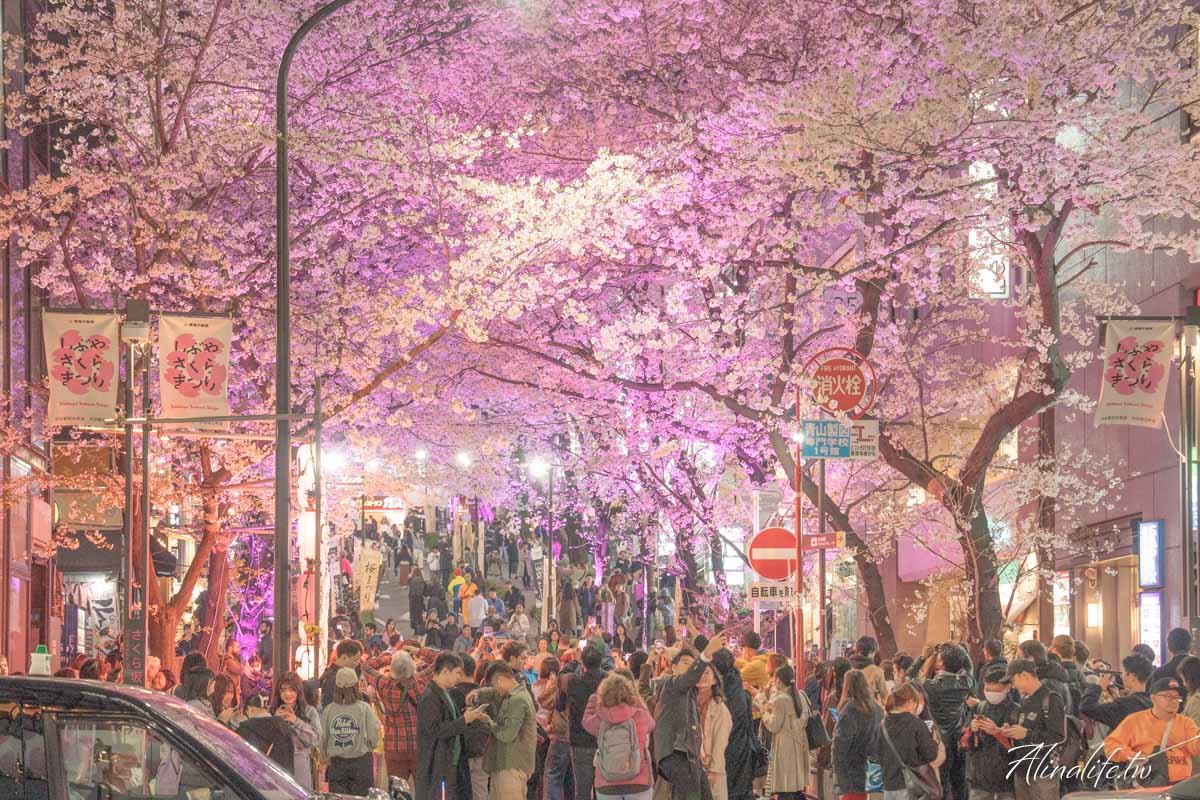 東京櫻花景點攻略》市區24個賞櫻名所+5個近郊櫻花景點推薦 @Alina 愛琳娜 東京櫻花景點攻略》市區24個賞櫻名所+5個近郊櫻花景點推薦 @Alina 愛琳娜