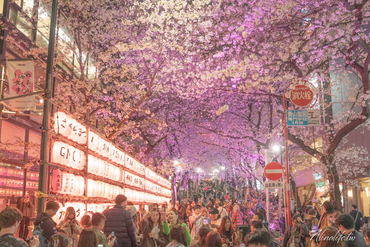 東京櫻花景點攻略》市區24個賞櫻名所+5個近郊櫻花景點推薦 @Alina 愛琳娜