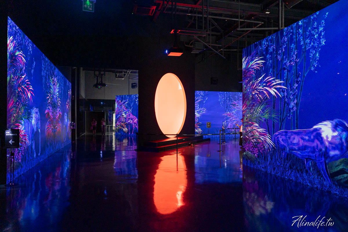 釜山ARTE MUSEUM｜全球最大的沉浸式數位藝術展，影島美拍景點 @Alina 愛琳娜