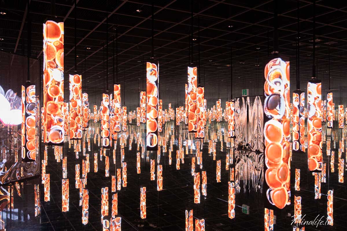 釜山ARTE MUSEUM｜全球最大的沉浸式數位藝術展，影島美拍景點 @Alina 愛琳娜