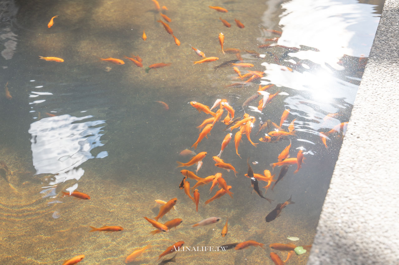 宜蘭礁溪足浴小旅行|溫泉公園免費泡腳池,還有足浴一條街好療浴 @Alina 愛琳娜 宜蘭礁溪足浴小旅行|溫泉公園免費泡腳池,還有足浴一條街好療浴 @Alina 愛琳娜