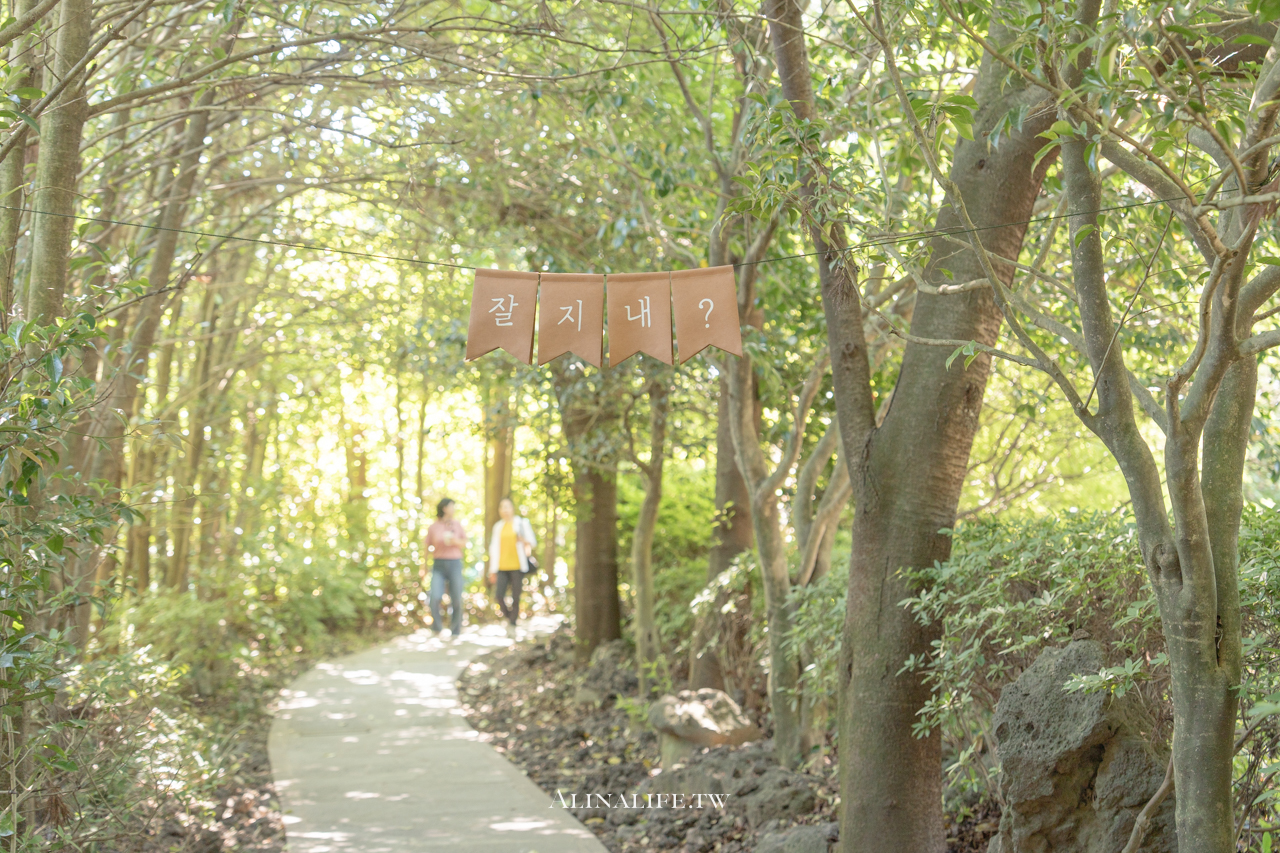 山茶花之丘|濟州島最熱門的繡球花景點,從冬天美到夏天 @Alina 愛琳娜 山茶花之丘|濟州島最熱門的繡球花景點,從冬天美到夏天 @Alina 愛琳娜