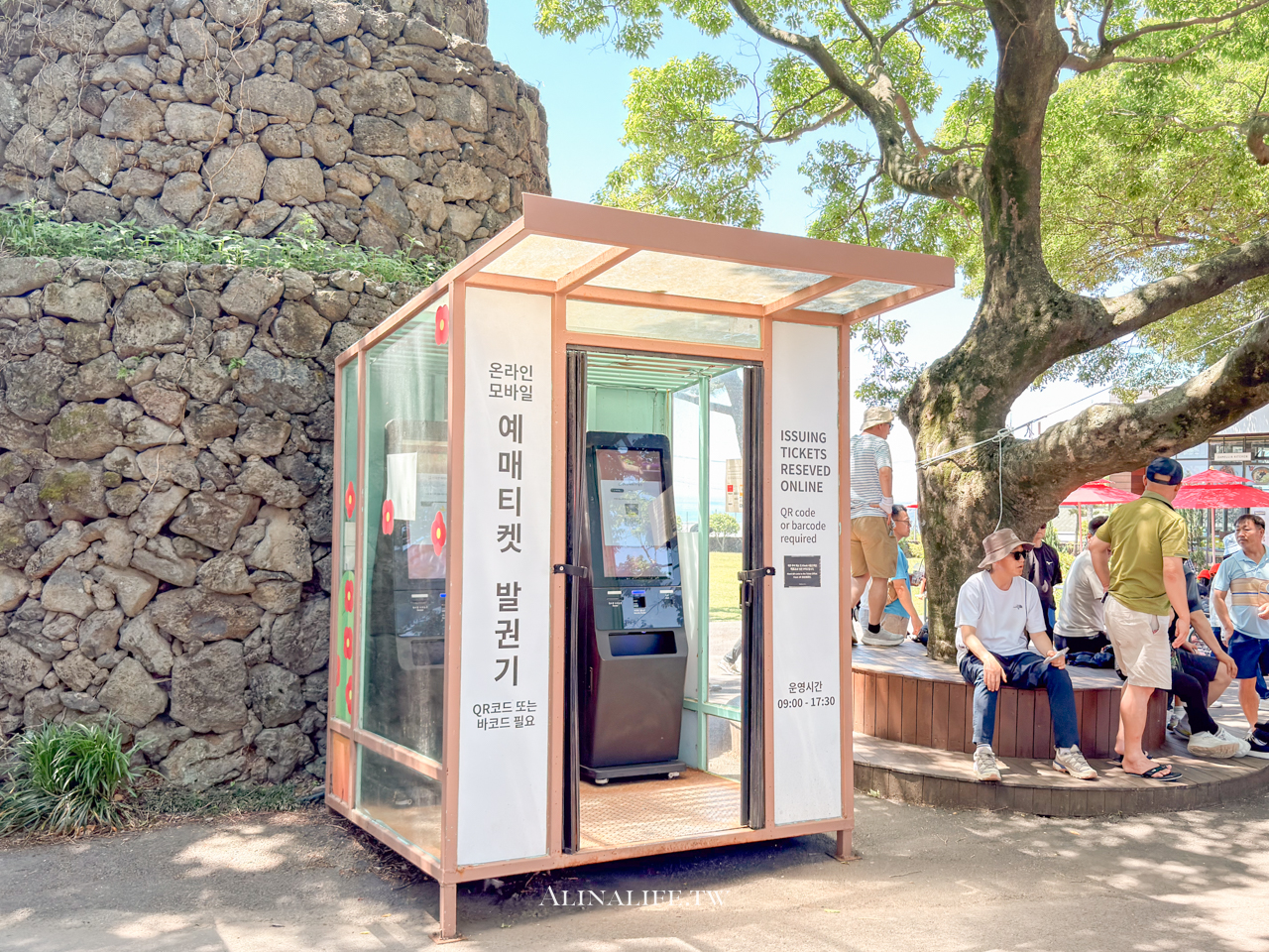 山茶花之丘｜濟州島最熱門的繡球花景點，從冬天美到夏天 @Alina 愛琳娜