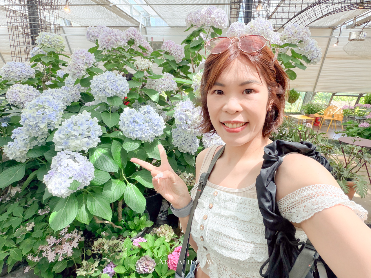山茶花之丘｜濟州島最熱門的繡球花景點，從冬天美到夏天 @Alina 愛琳娜