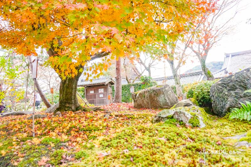 【京都景點】嵯峨嵐山 天龍寺 世界遺產-在秋季楓紅中感受歷史 @Alina 愛琳娜