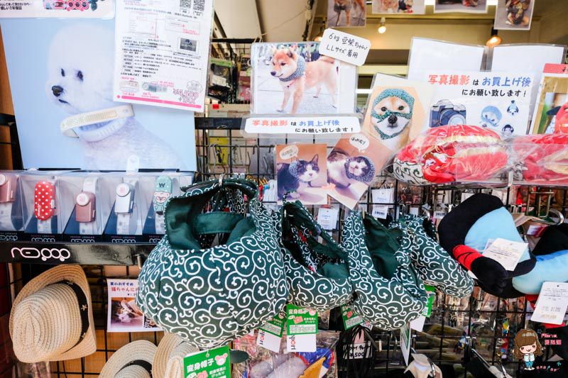 【東京和服體驗】東京淺草江户和装工房雅,小振袖加購化妝髮型 @Alina 愛琳娜 【東京和服體驗】東京淺草江户和装工房雅,小振袖加購化妝髮型 @Alina 愛琳娜