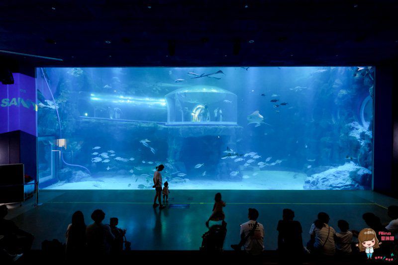 【全羅南道】韓國麗水 景點一日遊:梧桐島.突山公園.海洋水族館.E-mart購物 @Alina 愛琳娜 【全羅南道】韓國麗水 景點一日遊:梧桐島.突山公園.海洋水族館.E-mart購物 @Alina 愛琳娜