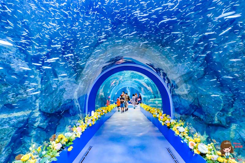 【全羅南道】韓國麗水 景點一日遊:梧桐島.突山公園.海洋水族館.E-mart購物 @Alina 愛琳娜