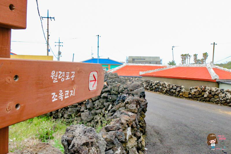 【濟州島景點】月令里仙人掌群落-跟著孔劉拍仙人掌文青畫報 @Alina 愛琳娜
