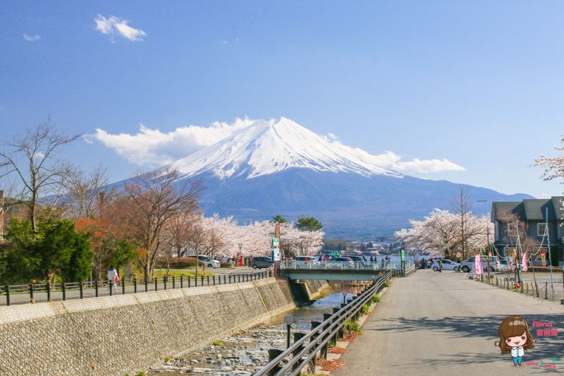 【日本景點】富士山 河口湖 交通一日游攻略，富士山櫻花景點推薦 @Alina 愛琳娜