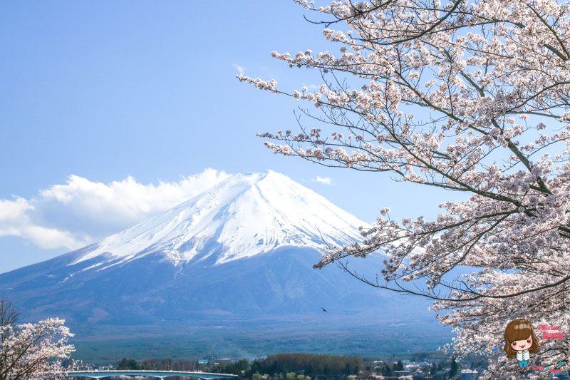 【東京一日遊】小田原城 箱根海盜船、富士山河口湖賞櫻,東京出發 @Alina 愛琳娜 【東京一日遊】小田原城 箱根海盜船、富士山河口湖賞櫻,東京出發 @Alina 愛琳娜
