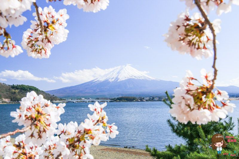 【東京一日遊】小田原城 箱根海盜船、富士山河口湖賞櫻，東京出發 @Alina 愛琳娜