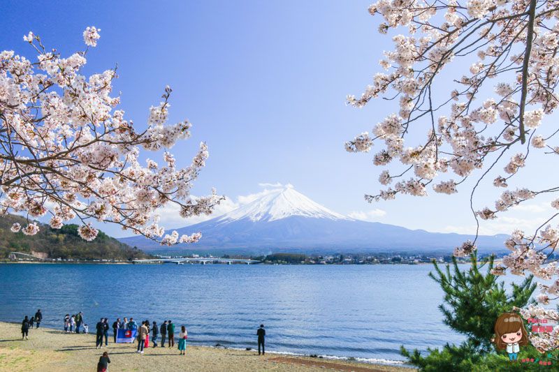 【東京一日遊】小田原城 箱根海盜船、富士山河口湖賞櫻,東京出發 @Alina 愛琳娜 【東京一日遊】小田原城 箱根海盜船、富士山河口湖賞櫻,東京出發 @Alina 愛琳娜