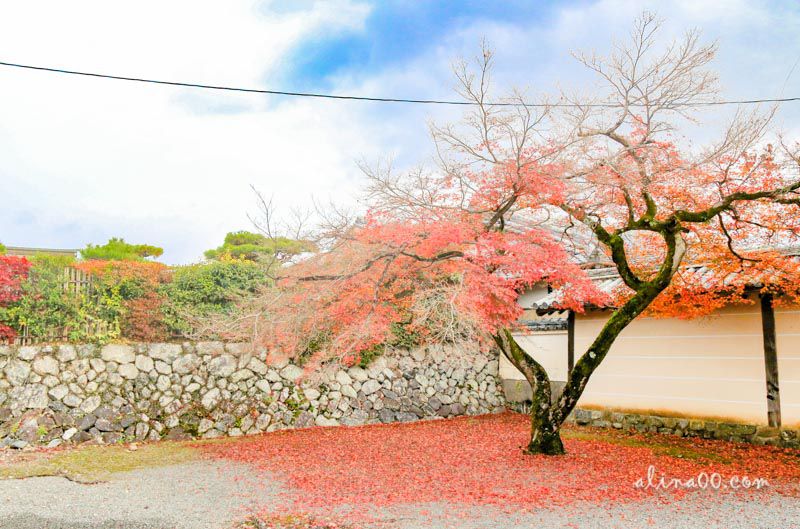 【京都景點】嵯峨嵐山 天龍寺 世界遺產-在秋季楓紅中感受歷史 @Alina 愛琳娜