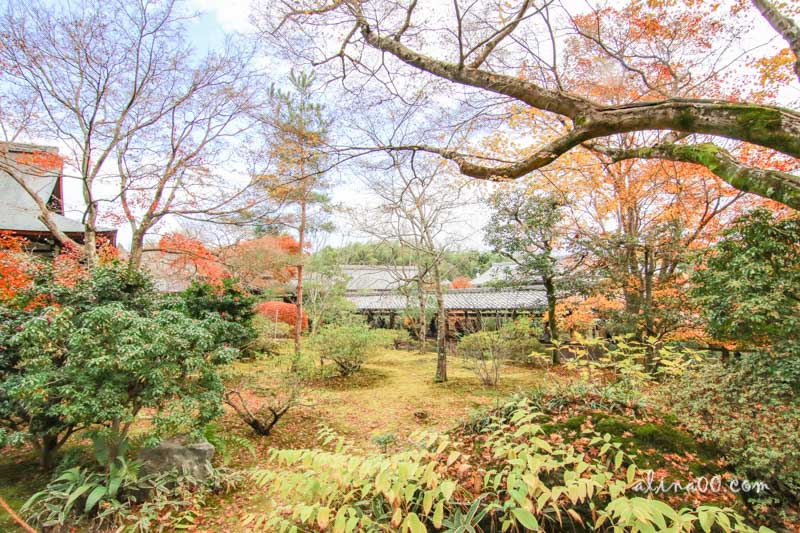 【京都景點】嵯峨嵐山 天龍寺 世界遺產-在秋季楓紅中感受歷史 @Alina 愛琳娜