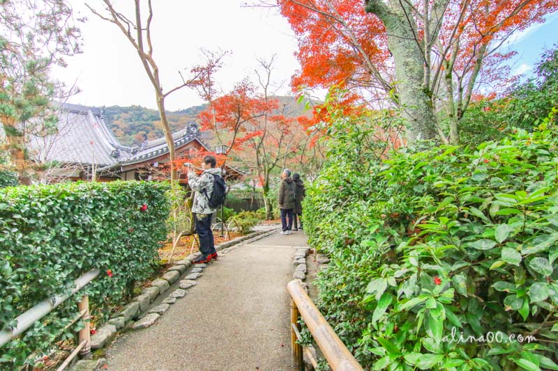【京都景點】嵯峨嵐山 天龍寺 世界遺產-在秋季楓紅中感受歷史 @Alina 愛琳娜