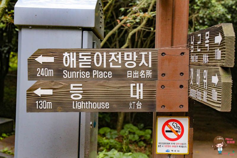 【全羅南道】韓國麗水 景點一日遊:梧桐島.突山公園.海洋水族館.E-mart購物 @Alina 愛琳娜
