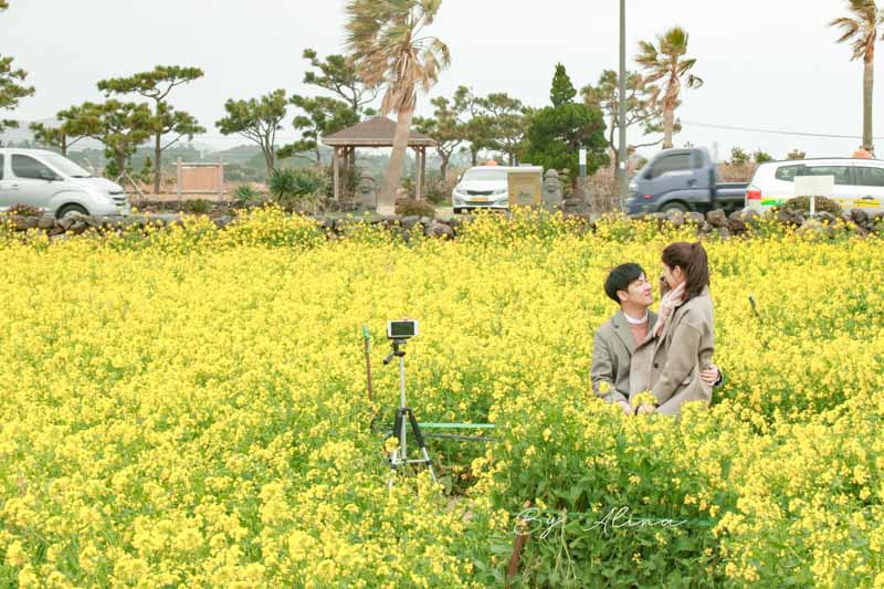 【濟州島行程】文青濟州島東西部一日行程路線,讓旅行加點不一樣 @Alina 愛琳娜 【濟州島行程】文青濟州島東西部一日行程路線,讓旅行加點不一樣 @Alina 愛琳娜