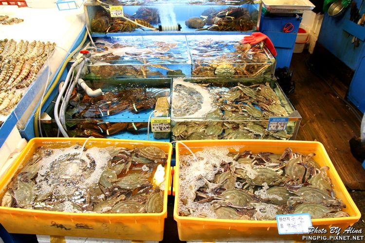【首爾美食】鷺梁津水產市場 龍宮飯店料理食堂,長腳蟹膏炒飯好吃 @Alina 愛琳娜