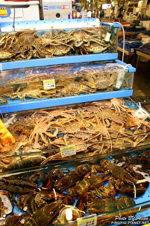 【首爾美食】鷺梁津水產市場 龍宮飯店料理食堂,長腳蟹膏炒飯好吃 @Alina 愛琳娜 【首爾美食】鷺梁津水產市場 龍宮飯店料理食堂,長腳蟹膏炒飯好吃 @Alina 愛琳娜