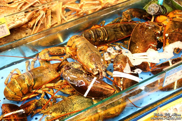 【首爾美食】鷺梁津水產市場 龍宮飯店料理食堂,長腳蟹膏炒飯好吃 @Alina 愛琳娜 【首爾美食】鷺梁津水產市場 龍宮飯店料理食堂,長腳蟹膏炒飯好吃 @Alina 愛琳娜