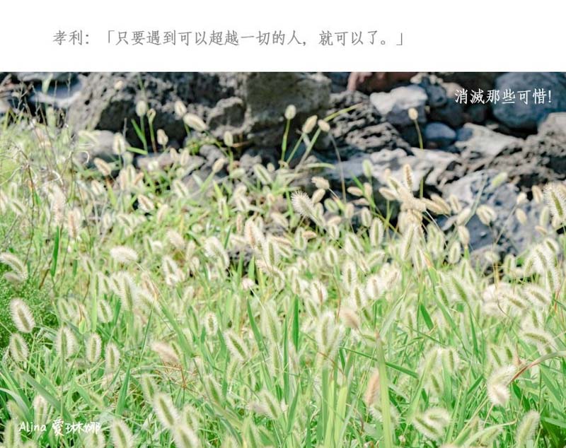 【濟州島行程】文青濟州島東西部一日行程路線,讓旅行加點不一樣 @Alina 愛琳娜 【濟州島行程】文青濟州島東西部一日行程路線,讓旅行加點不一樣 @Alina 愛琳娜