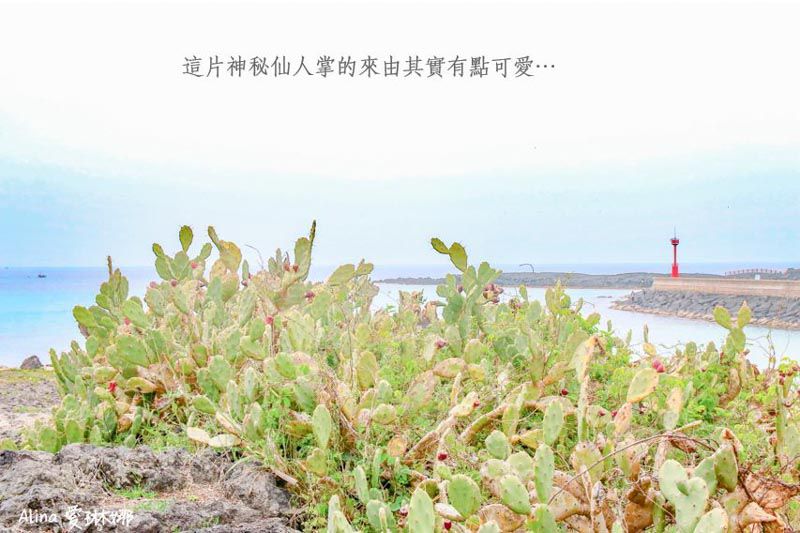 【濟州島行程】文青濟州島東西部一日行程路線,讓旅行加點不一樣 @Alina 愛琳娜 【濟州島行程】文青濟州島東西部一日行程路線,讓旅行加點不一樣 @Alina 愛琳娜