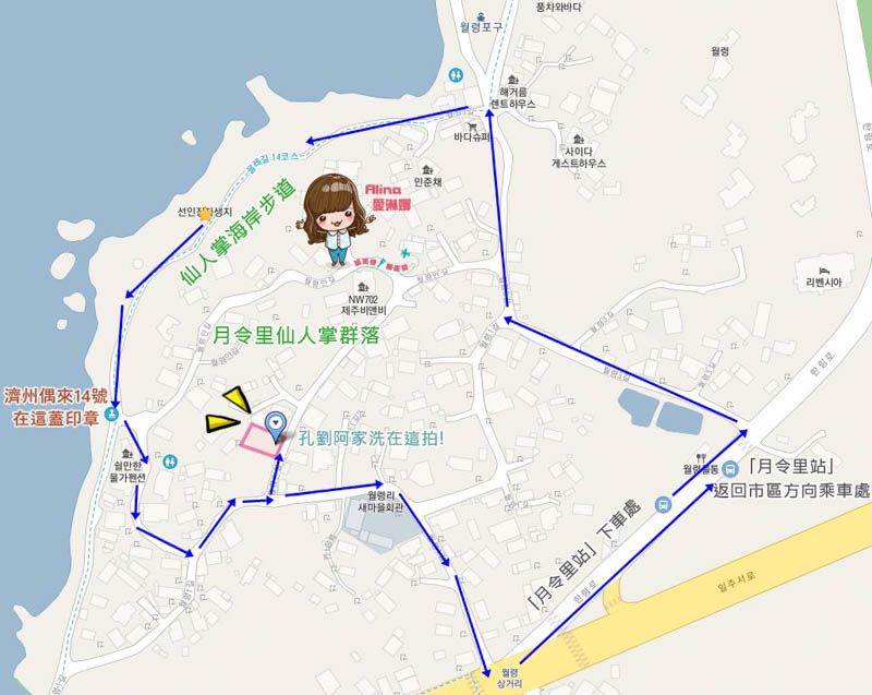 【濟州島景點】月令里仙人掌群落-跟著孔劉拍仙人掌文青畫報 @Alina 愛琳娜